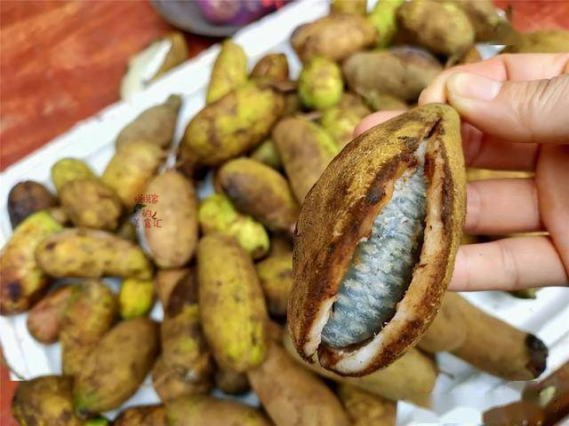 湖南秋雨多难得发现4种土特产奇形怪状营养高外地人没见过