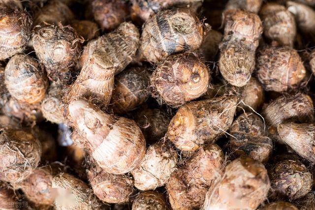 第三点:看芋头上的沙眼沙眼就是芋头根部凹下去的小洞,这个小洞,也就