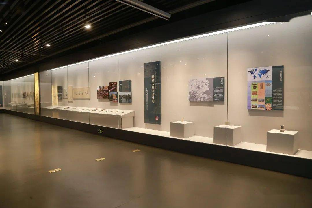 展訊丨世界遺產江南晨曦良渚文化展在博物館開展