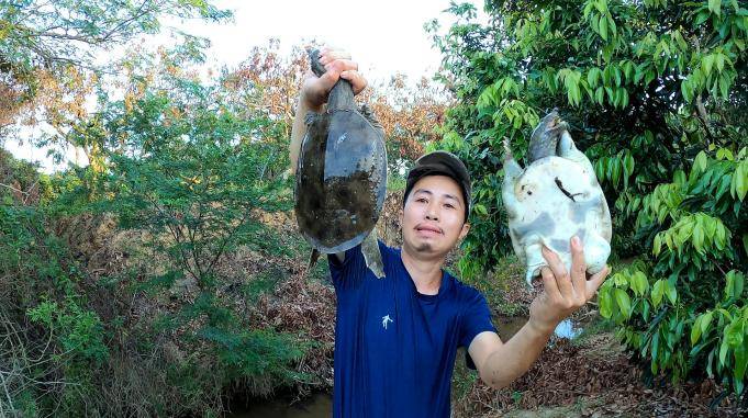 闷热天气放在水沟里的地笼一网就中两只值钱甲鱼