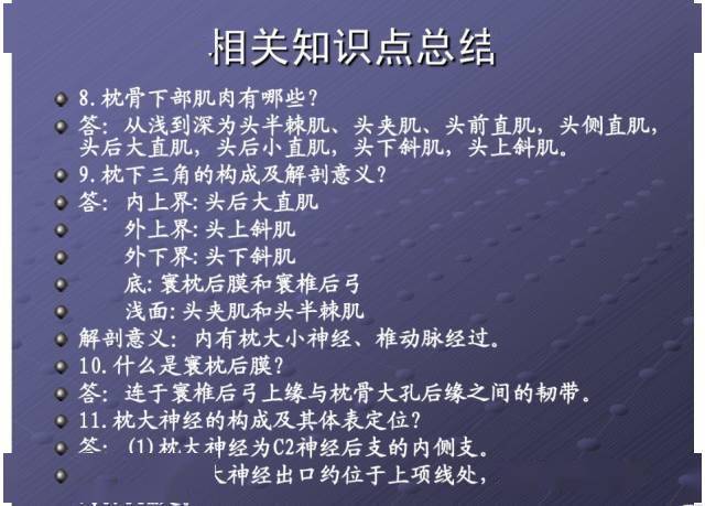 颈项部肌肉基础解剖起止点及作用
