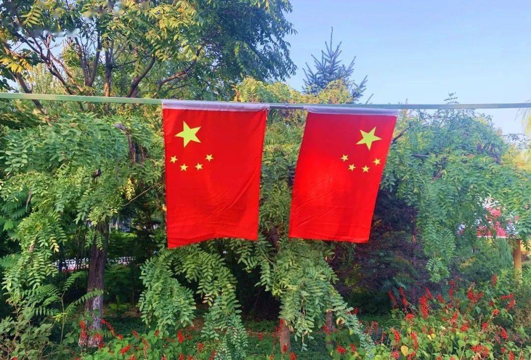 在浓浓的"中国红"中2000余面五星红旗挂上街头一路飘"红"全市主要干道