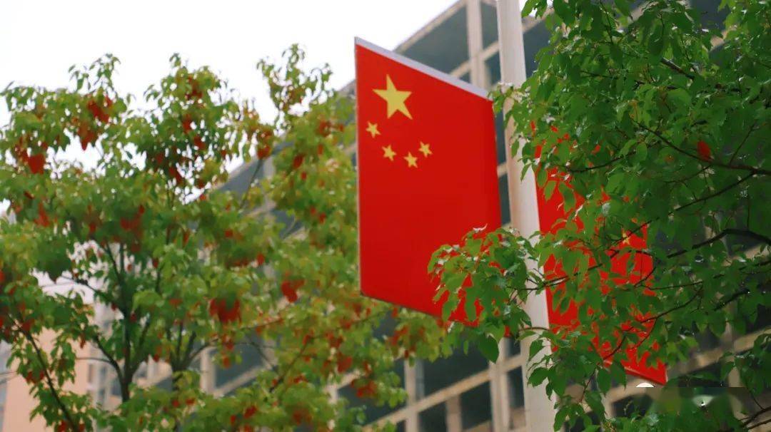 七星关好红红红红红红