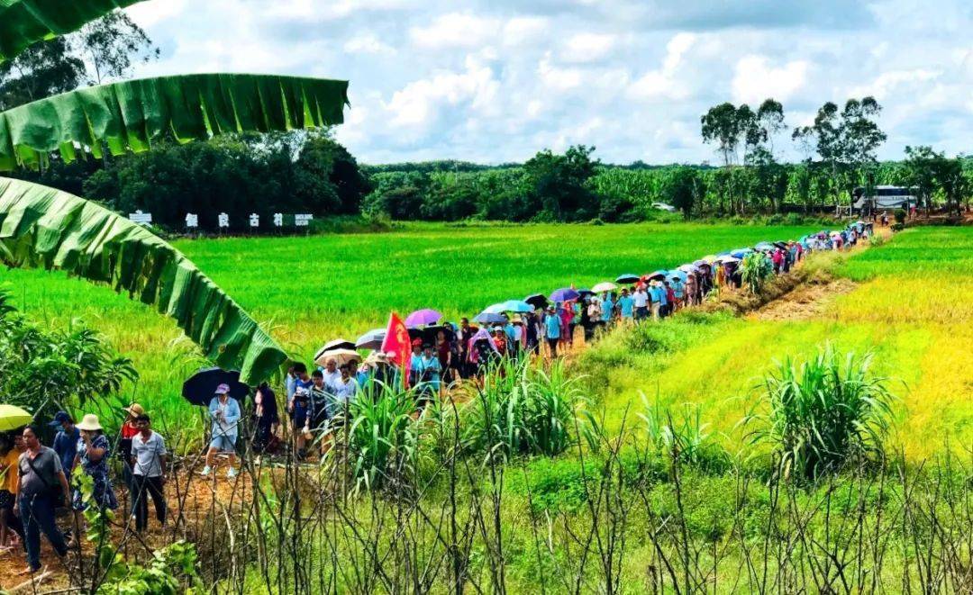 通过打造"旅游扶贫示范村,完善旅游基础设施,精准营销开发乡村旅游