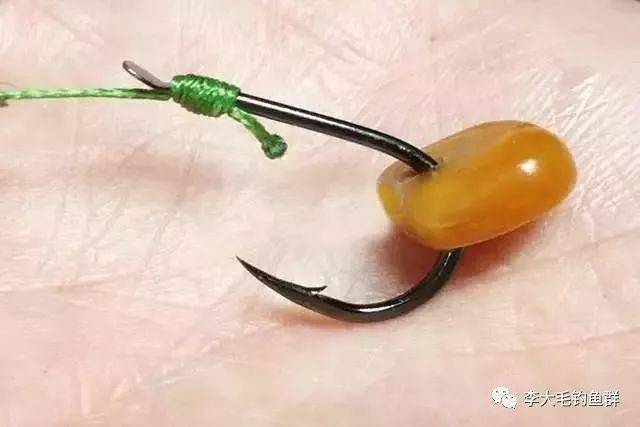 自制老玉米钓饵,成本一斤5块钱连钓三天都爆护!_饵料