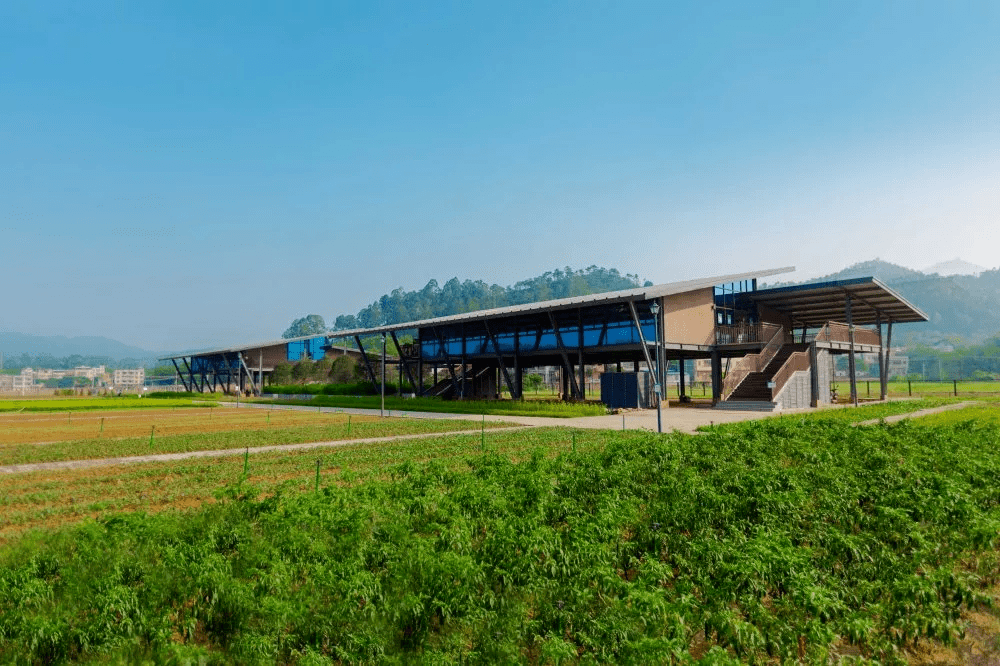 惠州第二批乡村旅游精品线路已就位!绿色骑行,网红民宿,田园采摘.