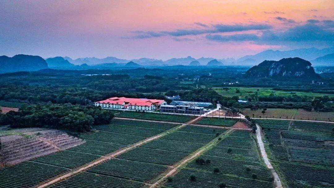 仲恺农业工程学院友创意展邀你来小镇叹杯茶