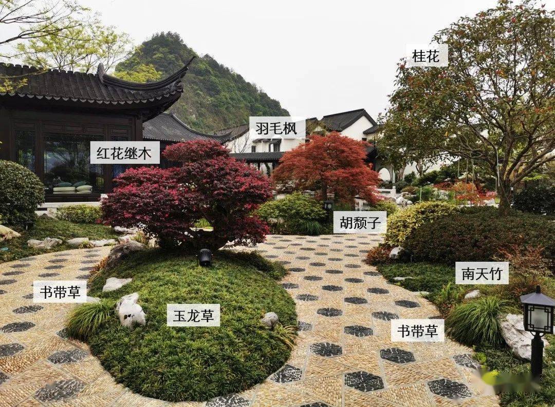 如何造一个中式院子?