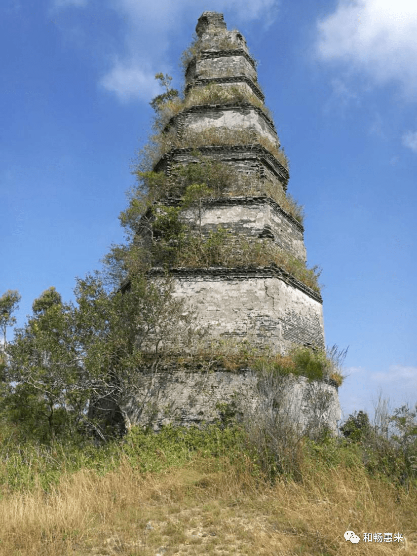 鳌头塔(神泉镇鳌头村)揭阳理工学院(粤东新城)八,宝石花开大南海石化