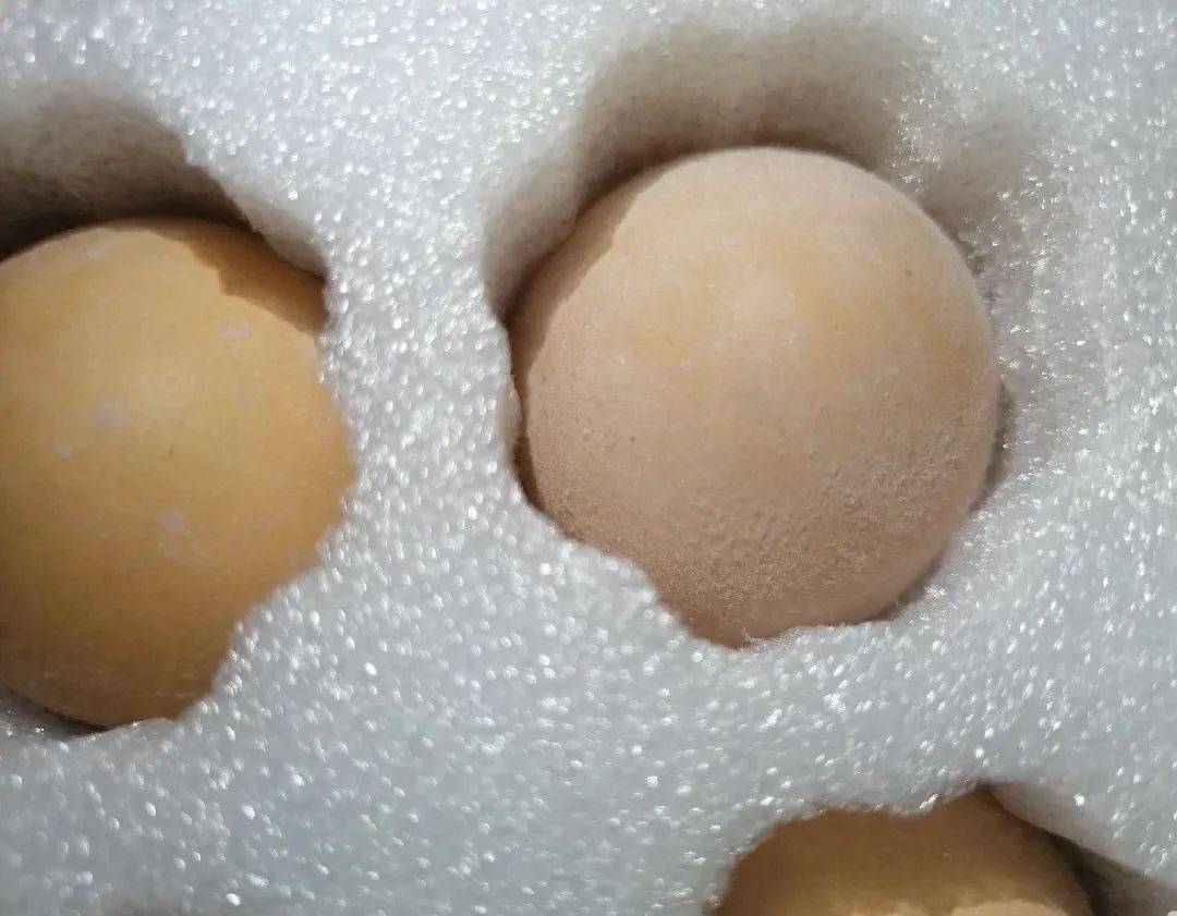 鸡蛋壳为什么会长毛