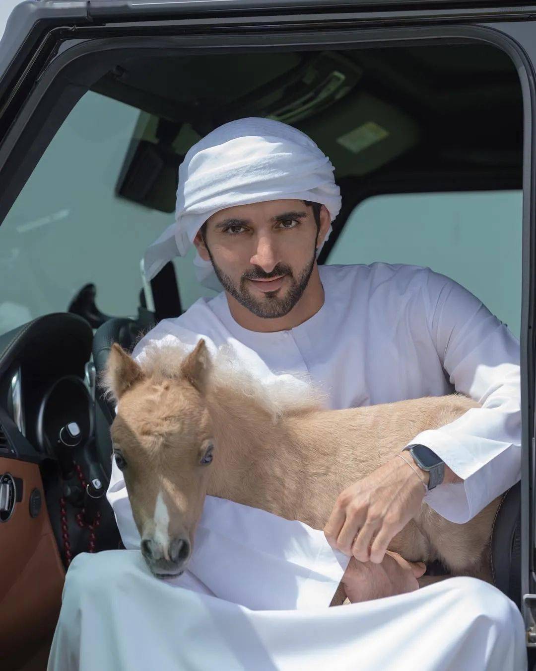 迪拜王子狮子图片
