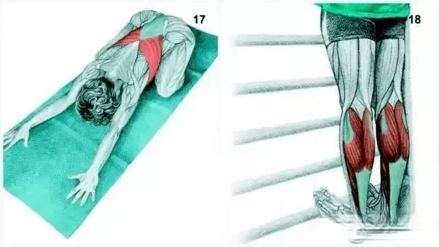 這套拉伸圖讓你明白什麼動作拉伸哪塊肌肉健身必看