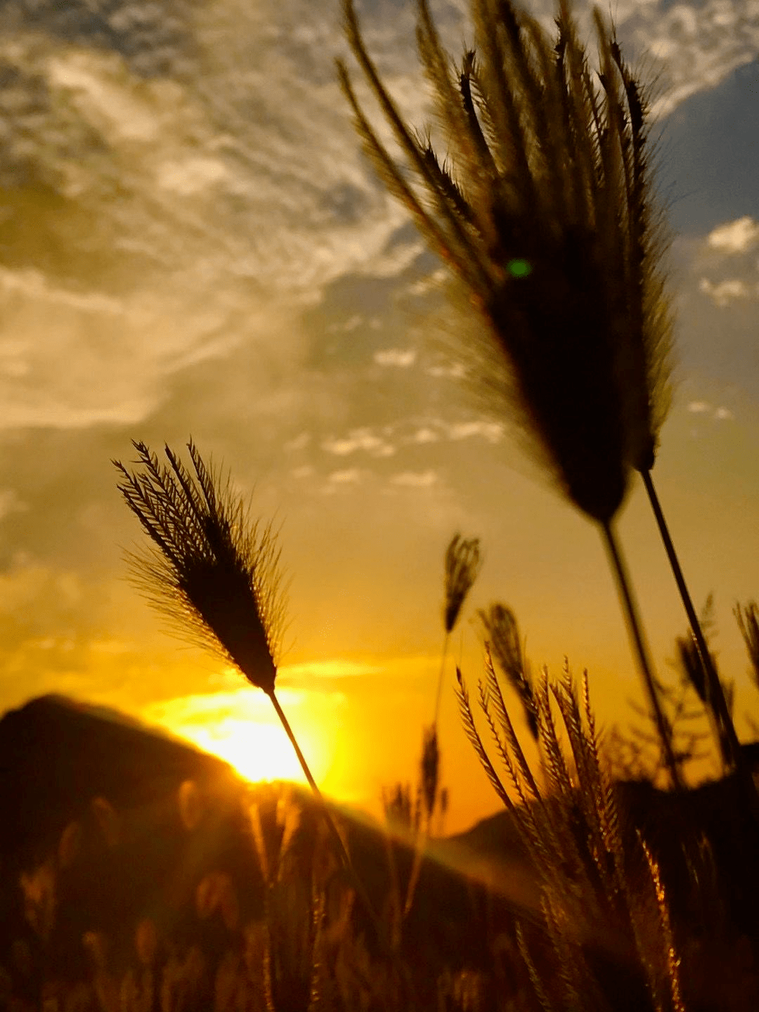 山东省济南市长清区天气预报