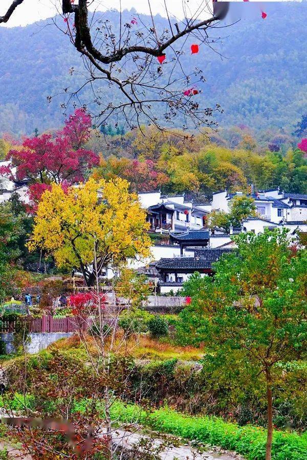 【晚上】塔川村拍完日落後,一起乘車前往湯口鎮住宿,大家可以嚐嚐徽州