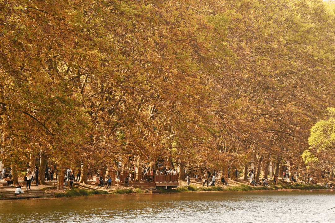 瞰贵阳⑦丨飞越黄金大道