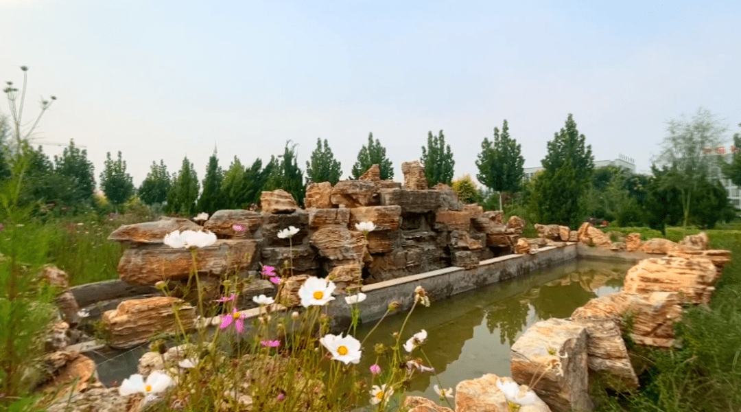 双节同庆不必远行亦有风景国庆假期来枣强县劳动公园打卡吧