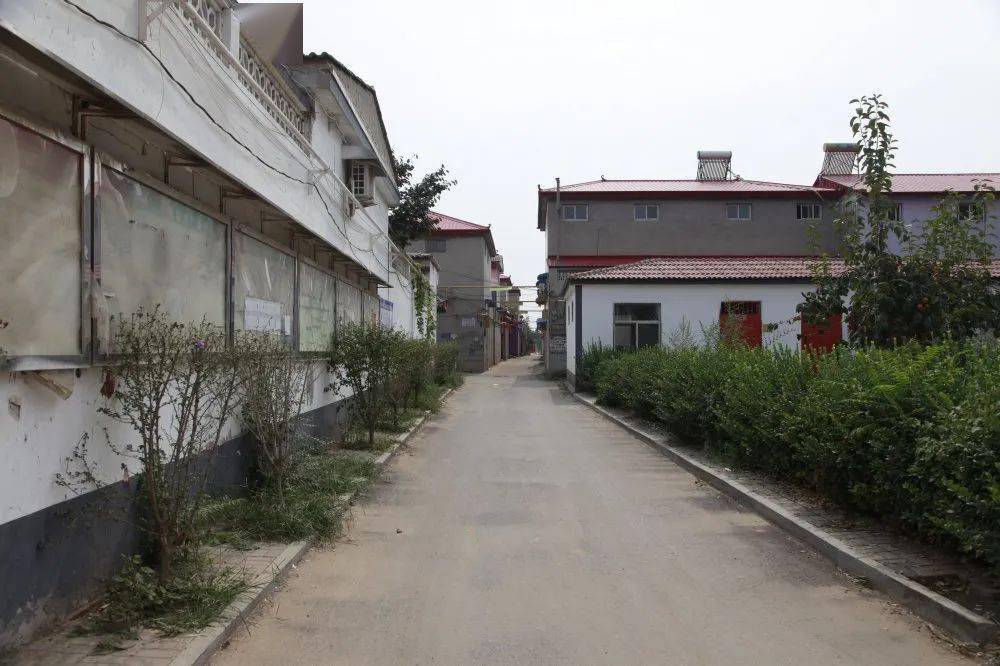 双节回老家看看新变化南沿村镇范庄村人居环境整治纪实