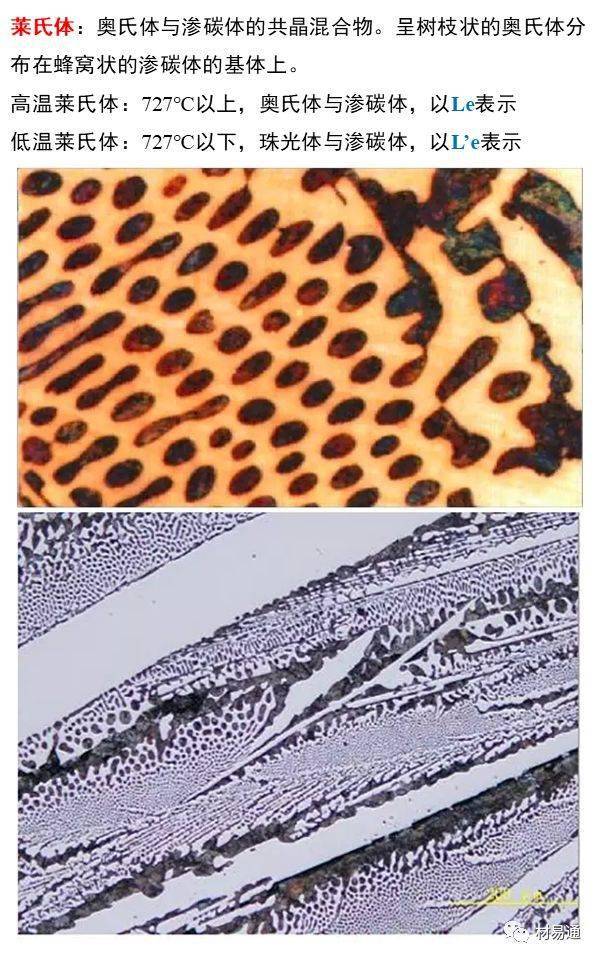 莱氏体魏氏组织贝氏体马氏体珠光体渗碳体奥氏体(a)铁素体(f)