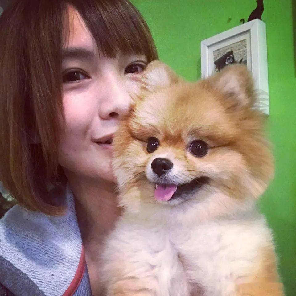 博美犬和人合照图片