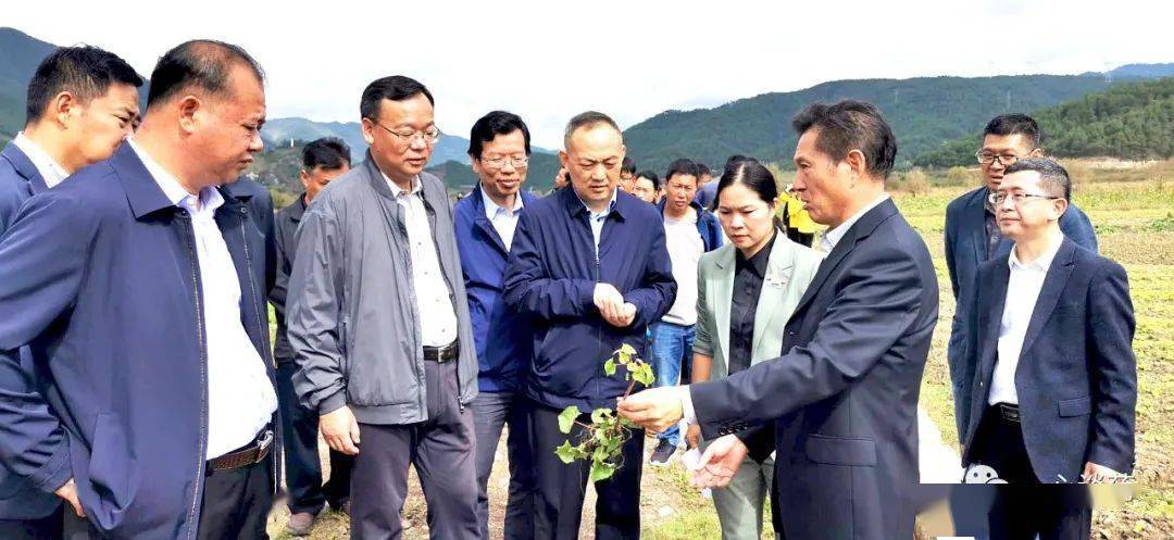 州工商联,州政协;兰坪县委,政协,县工商业联合会工业园区管委会;通甸