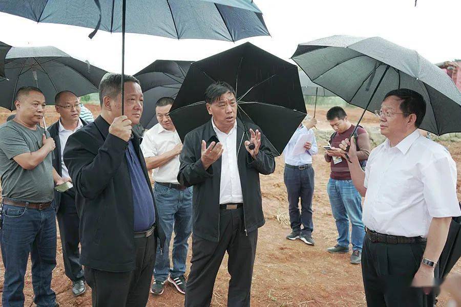 州人大常委会副主任,县委书记王正林,州政府秘书长施双林,县委副书记