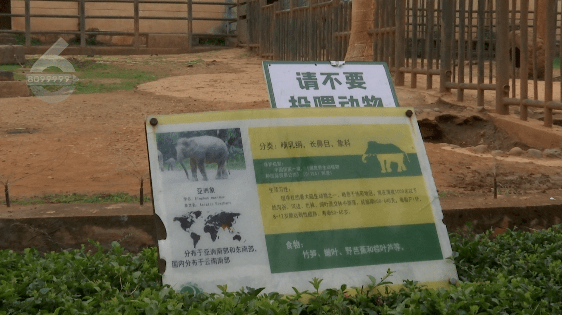 网友炸了→_动物园