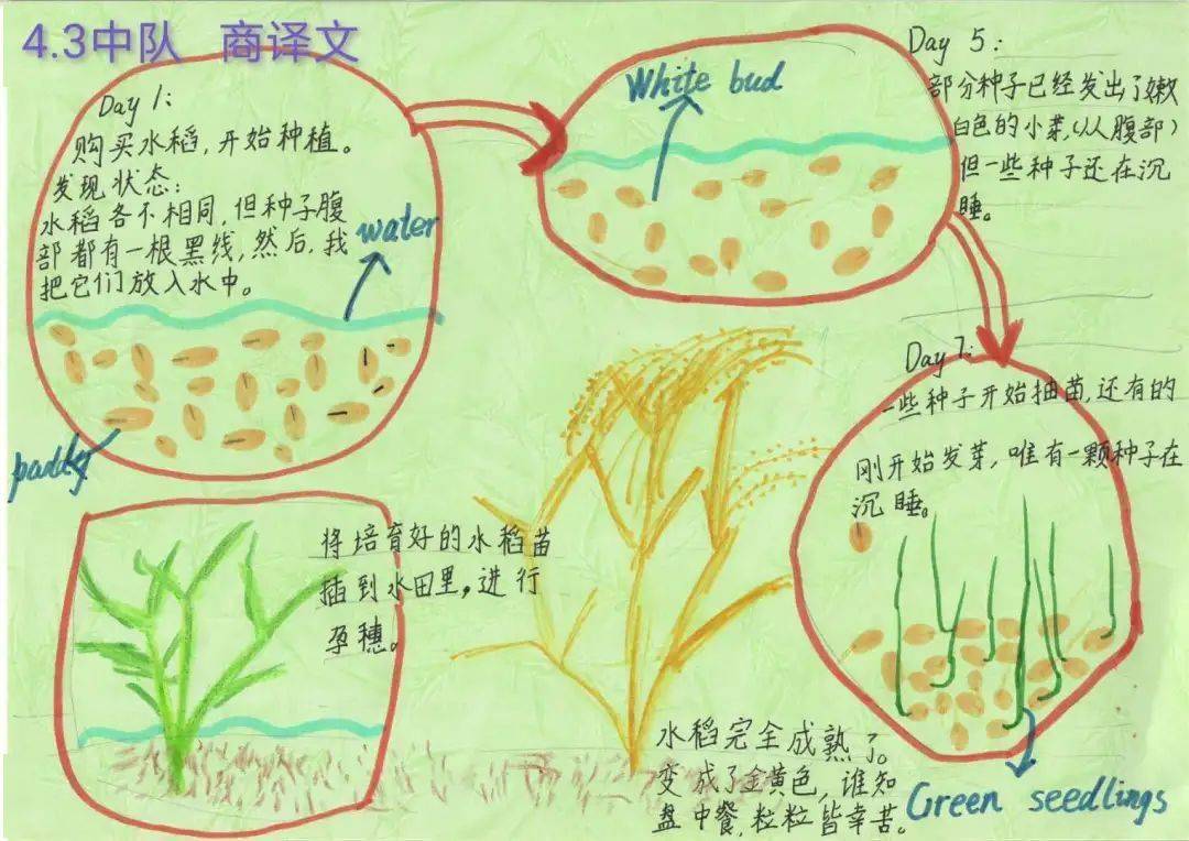 学农手抄报文字素材图片