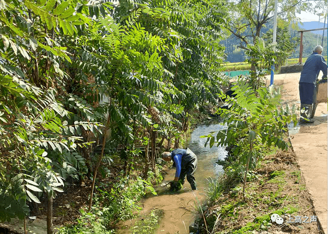 今日上高67蒋凌鹤到上甘山林场调研