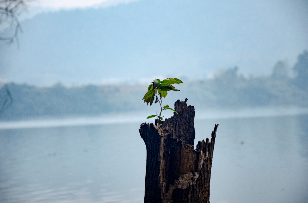 黄朴在前行的途中不停打磨自己