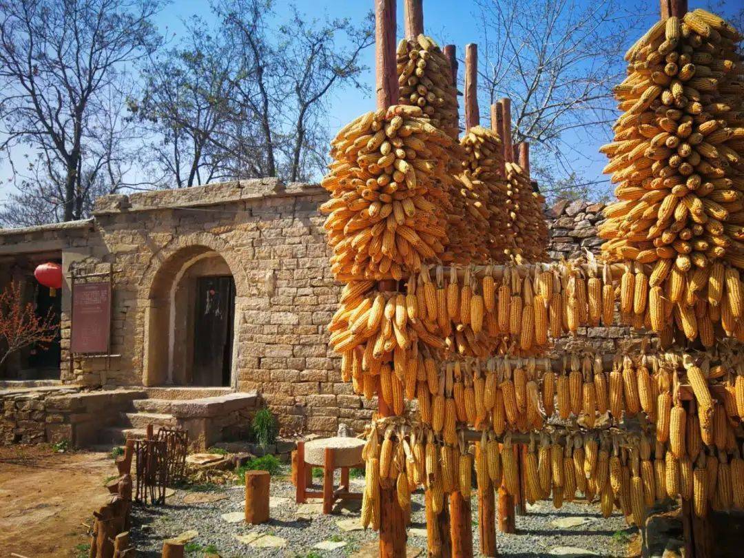 山东省乡村旅游12个微旅行目的地推荐菏泽这个村上榜