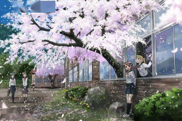 晚安曲丨樱花樱花想见你