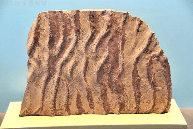 《听得见的博物馆》第四季 第13集 "波痕石"