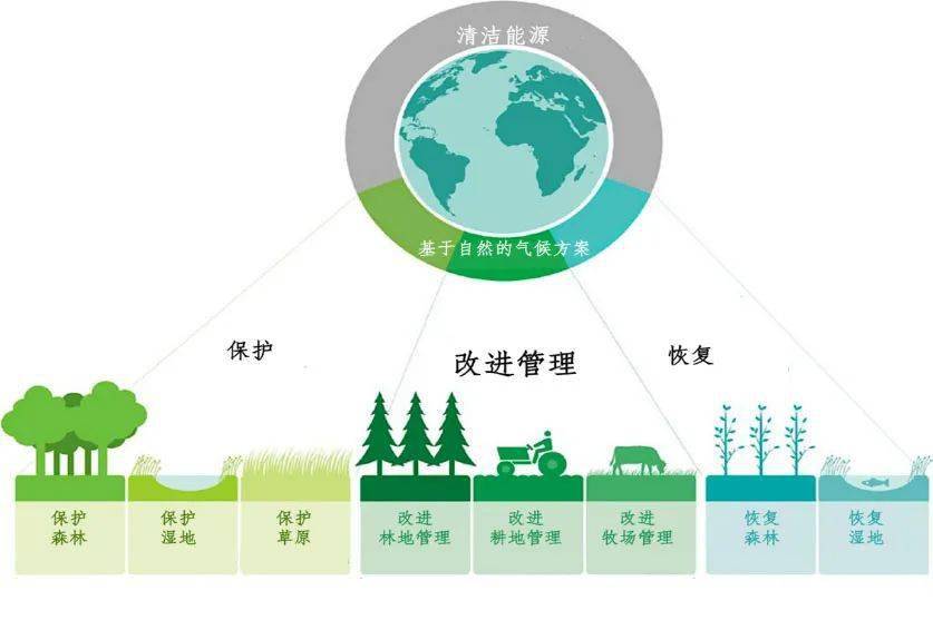 解锁自然的力量 | 减缓气候变化_全球