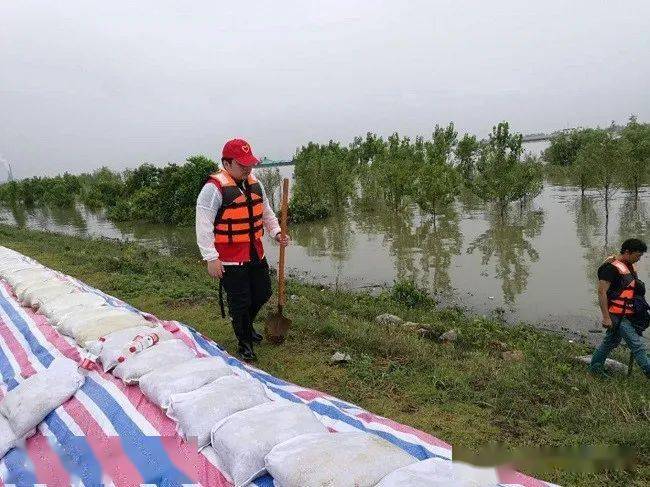 闻"汛"而动,九江三中学生志愿者在行动_防汛