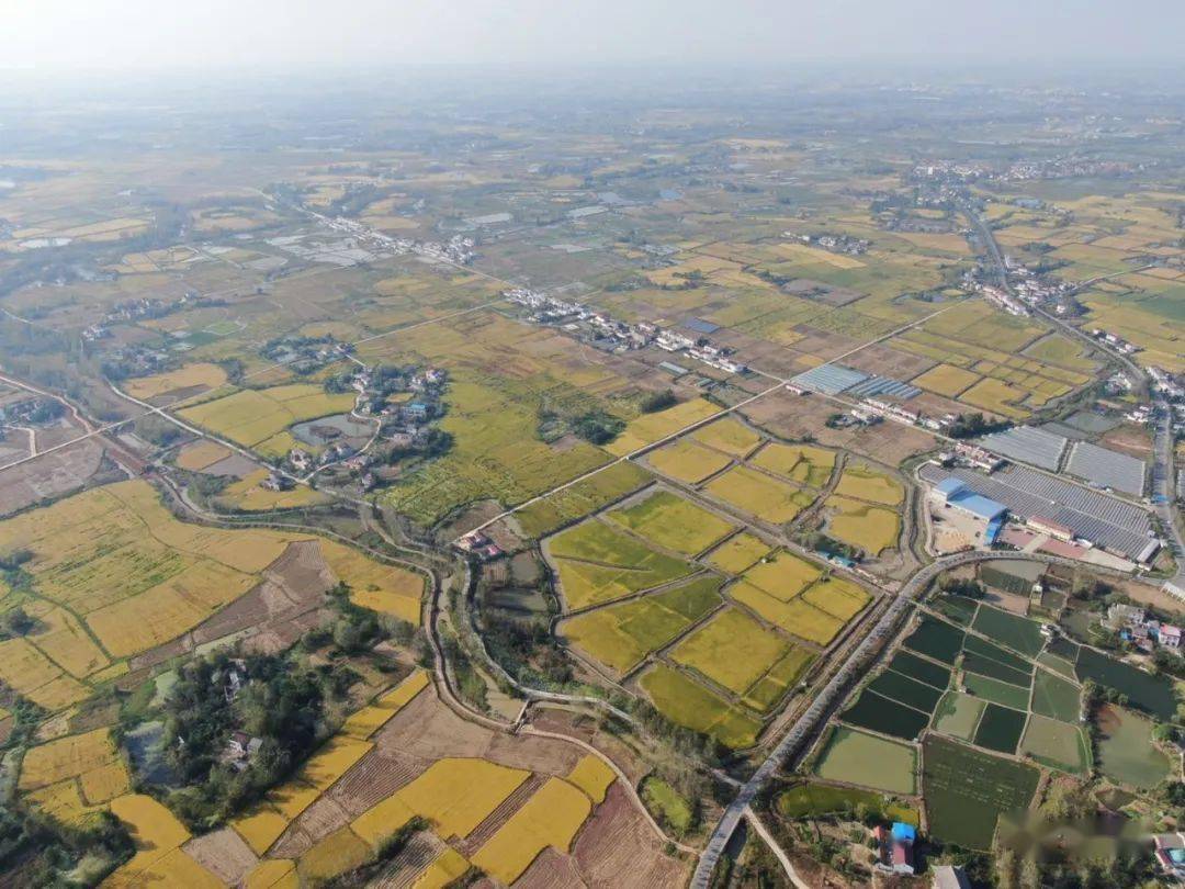 美极了!裕安区丁集镇《航拍西河》宣传片