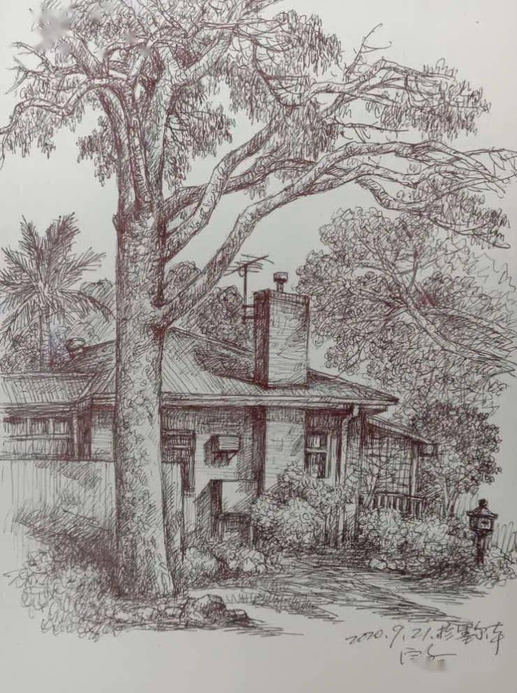 旅澳画家蒋定文钢笔画写生欣赏