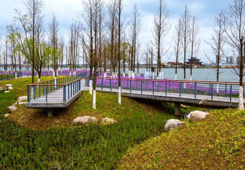 慈溪市觀海衛鎮新城市民公園綠道,該市民公園位於慈溪市觀海衛