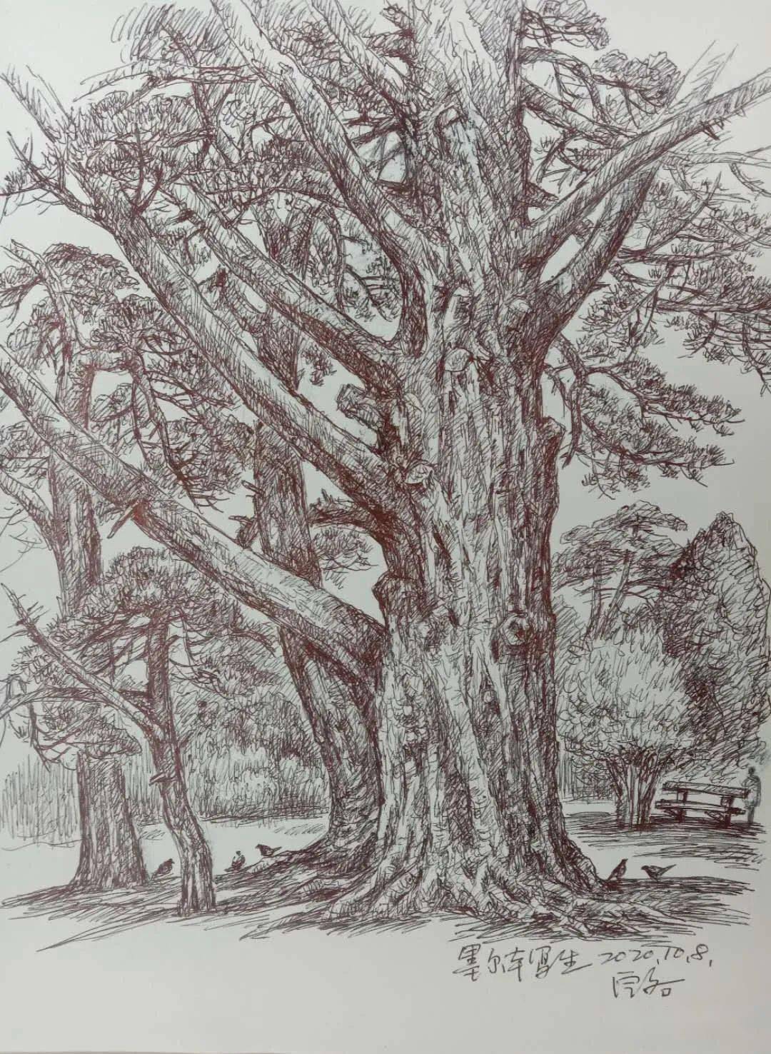 旅澳画家蒋定文钢笔画写生欣赏