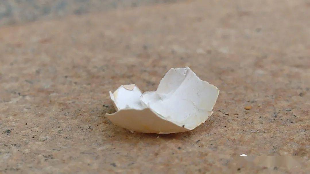 南宁一女士在同一小区遭遇8次高空抛物!近日,又被鸡蛋砸伤!