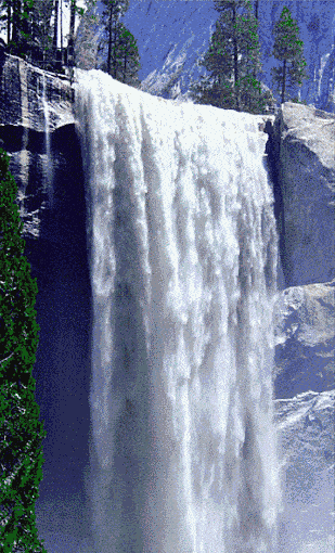 309_510竖版 竖屏gif 动态图 动图