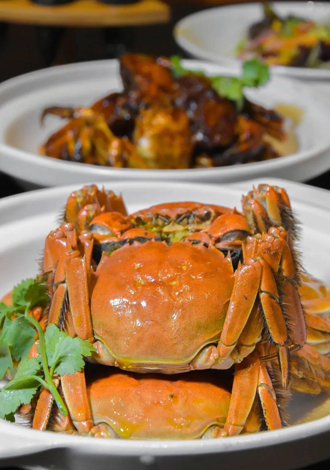 【环球港凯悦】198起/位--精心打磨30天,凯悦蟹宴惊艳亮相!