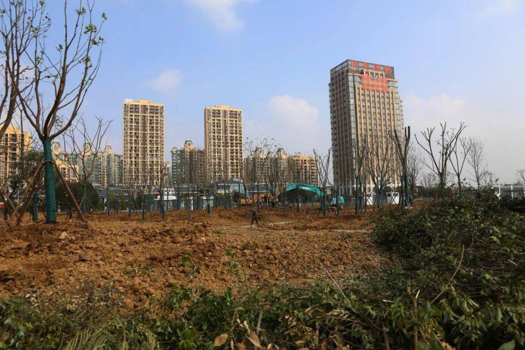 該項目包含廣場景觀綠化,雨汙水管,公園管理中心及公共廁所,土坡處理