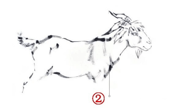 图文教程:一步一步学画写意羊_步骤