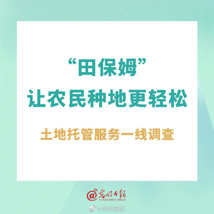 "田保姆"让农民种地更轻松—土地托管服务一线调查