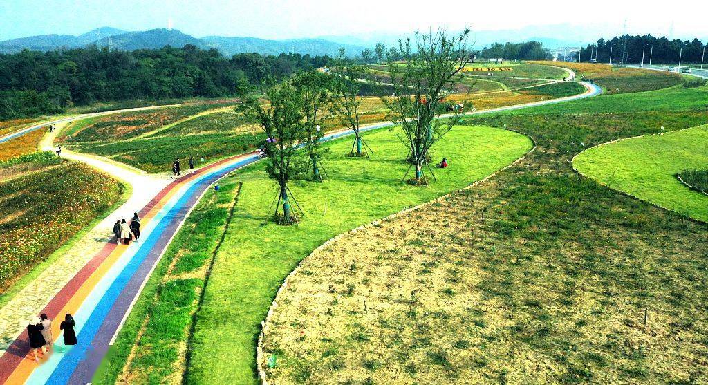 安徽庐江:昔日垃圾场变身花海洋