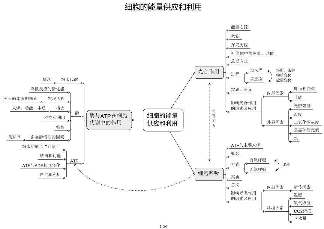 高中生物必修 選修思維導圖最全歸納