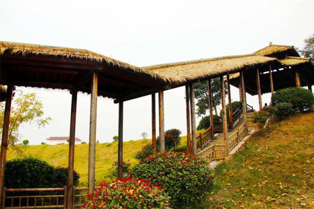 头条运河流新韵名城秋正好来吧游遍四周醉美泗州