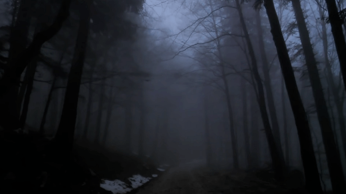 观点丨如何看待以太坊的黑暗森林法则