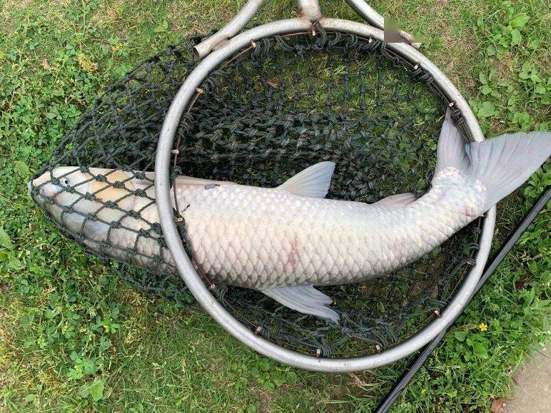 钓鱼社团招新本次招新名额有限报名请联系试验认证部徐伟邮箱:xuwei01