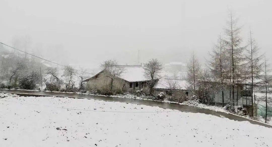 雪景刷屏太04冷04了04陇南本周气温降至